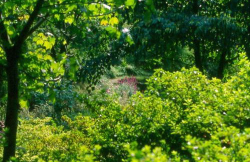 The Clock House - Foto 15