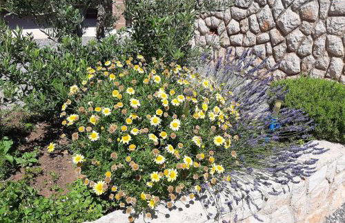 Apartments Pavelic - Foto 45