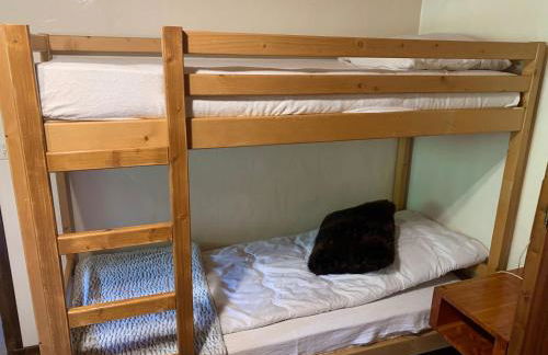 APPARTEMENT PLEIN SUD AUX SAISIES n3 - Foto 33