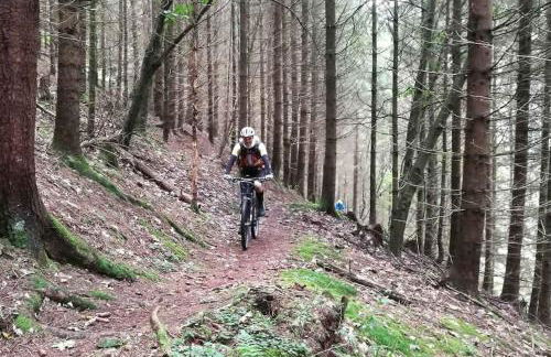 Ferienwohnung auf dem Dach des Frankenwaldes - Foto 30