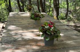 Woods Etna Chalet - Photo 61