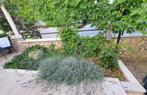 Apartments Ana Žaborić, 50 m od šljunčane plaže - Foto 38