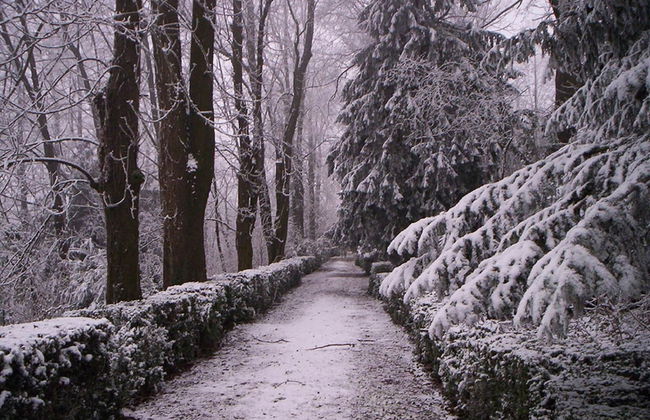 Charming Castle Stay, Robella - Foto 25