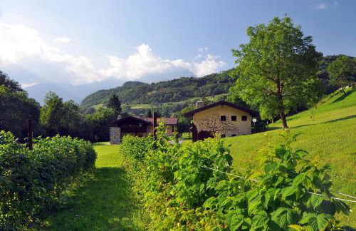 Quader nidi nel verde - Foto 15