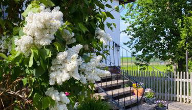 Ferienwohnung Santino - Foto 3