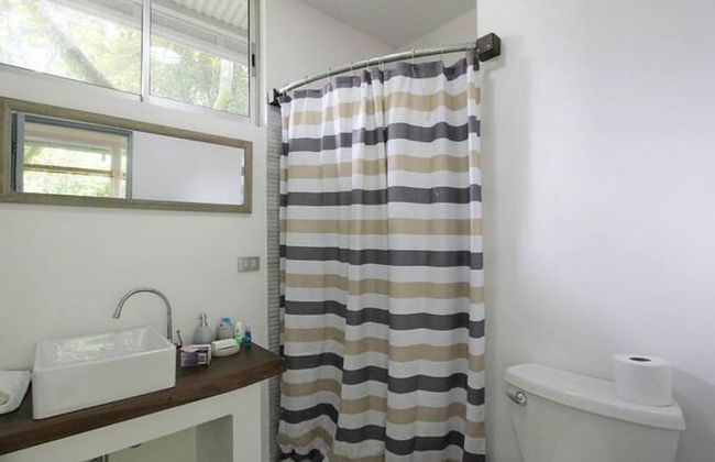 Relaxing Sound of River Birds Squirrels - Foto 26