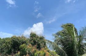 Large house with pool, barbecue and garden - Foto 16