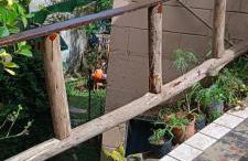 Casa na praia com quintal amplo e piscina - Foto 20