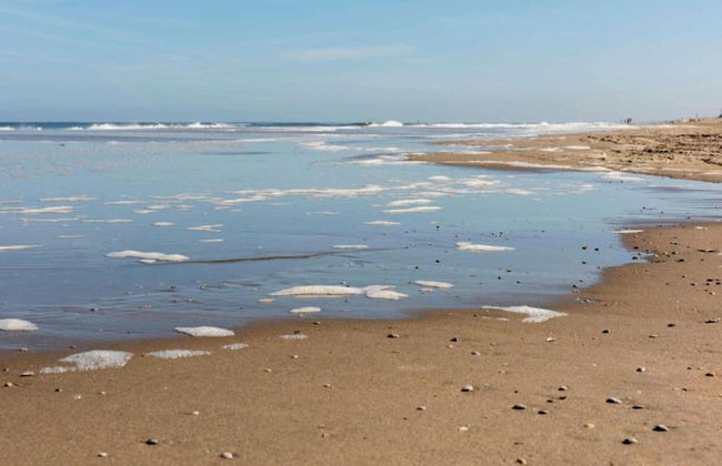 Apartment in Noordwijk Near Beach - Foto 25