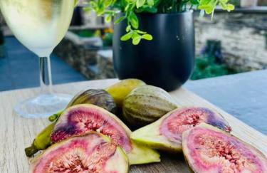 Luxury three bedroom coastal cottage - Foto 6