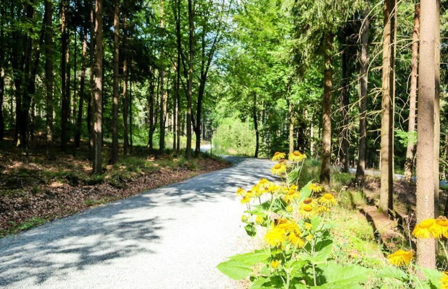 Bad Elster Apartment in Sohl - Foto 26