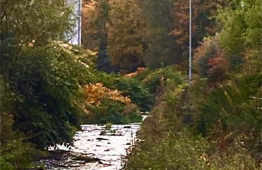 FeWo Ostrau, neues Bad, neue Küche, zentral, Sandstein-Ferien, Terrasse - Foto 15