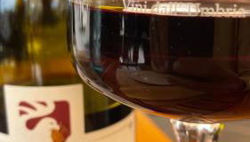 Mario house Assisi - Foto 4