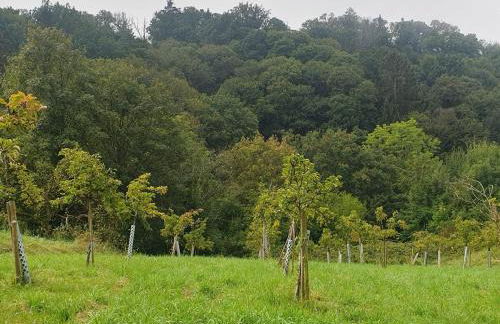 Apartment in Murbachhof up to 10 people Cooking possible - Foto 48