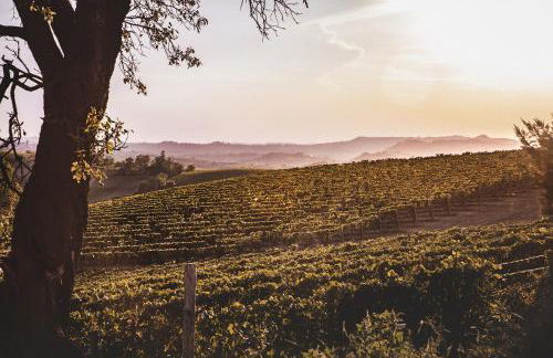 Villa Vinory Bricco di Nizza - Foto 24