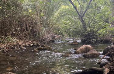 Feel Nature en La Casa de la Desconexión - Foto 42