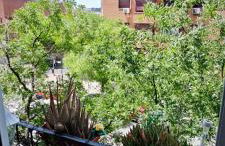 Luminoso Apartamento de Diseño en Paseo Imperial - Photo 21