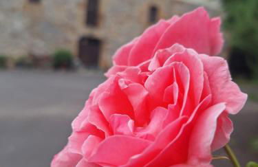 Casa Rural Areano - Foto 113