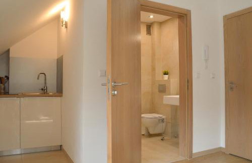 Apartamenty Agroturystyczne Papiernia Grill, Sauna & Jacuzzi - Foto 75