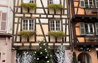 Les Suites Du Cygne - Foto 1