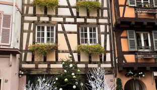 Les Suites Du Cygne - Foto 1