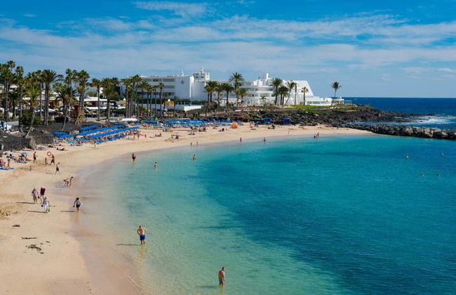 Palmeras Garden - Foto 74