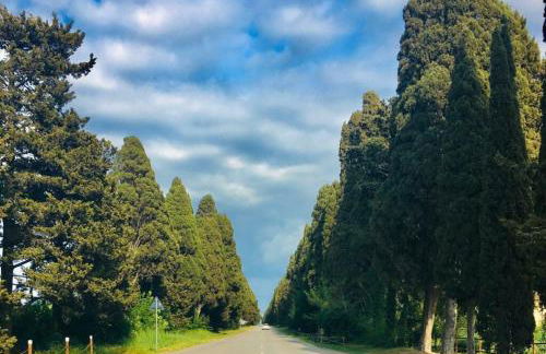 CasaZebe Donoratico - Foto 6