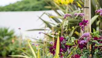 Art Deco Coastal Apartment with Private Garden - Foto 5, Garden