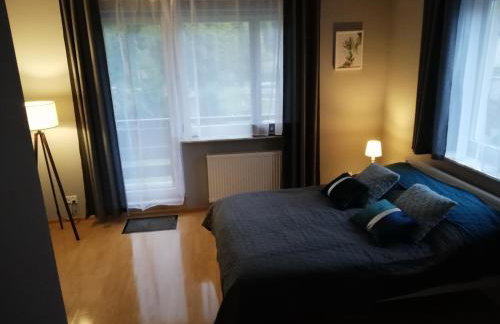 Apartament nad Gorczańskim Strumieniem - Foto 1