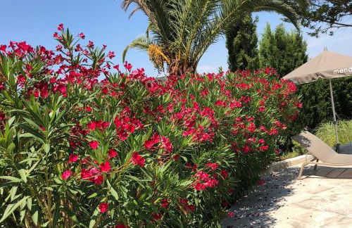 Villa Jane - Foto 31