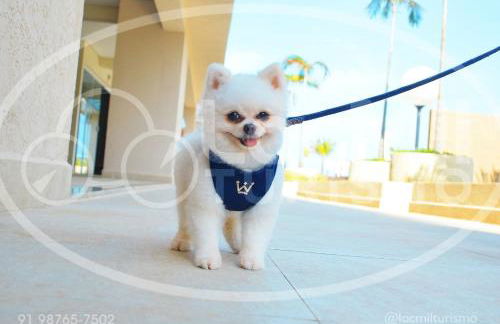 Apartamento em Resort - Park - Photo 30