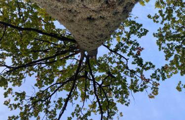 Apartament Nieznany Bór - Foto 29