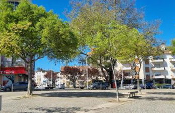 Modern & Cosy Apartment in Fundão Centre - Foto 12