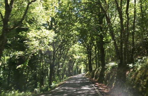 Casa das Peleteiro Ribeira Sacra - Foto 20