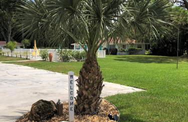 Addy's Villas - Foto 63