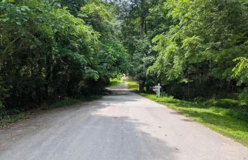 The Divine Cottage! Woodsy Hideaway! - Foto 56