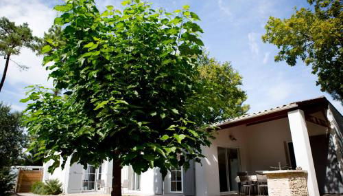 Parad'iles - Foto 2, Garden