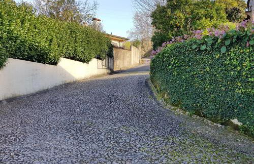 Vivenda do Paúl - Foto 45