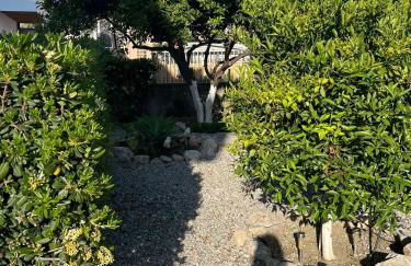 Sunny house - Foto 63