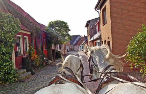 Comfortable holiday house near Lake Kummerow - Foto 45