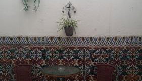 Abuelo Rafael - Photo 3, Garden