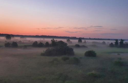 ApartGolf Sobienie Królewskie - Foto 31