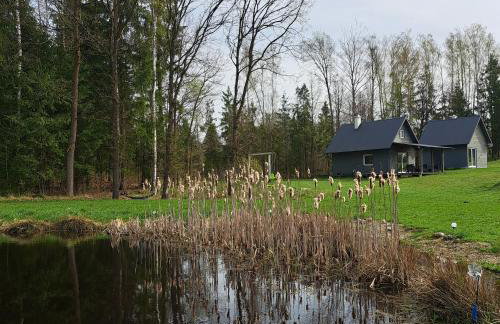 Leśny Reset - Foto 51