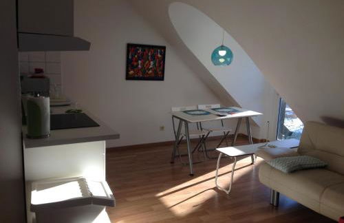 Studio Ochsenfurt mit sonnigem Balkon - Foto 18