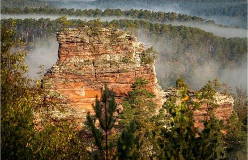 Ferienhaus Korn am Bärensteig - Foto 24
