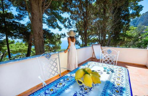 Casa Schiattarella Capri - Foto 39