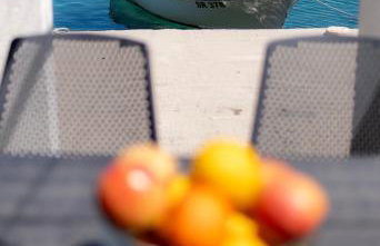 Sunny Apartment Octopus - Foto 10