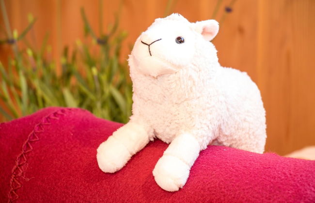 Ferienparadies Reifnhof - Foto 30