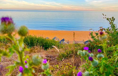 Jungle lodge - Photo 41