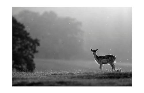 Cosy & quirky cottage in the heart of Bakewell. - Foto 31